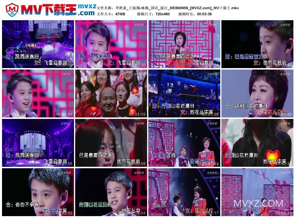 李胜素_王泓翔-咏梅_国语_流行_MEB00959